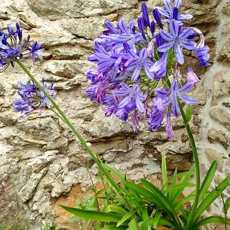 Vakantiehuis L'etable *