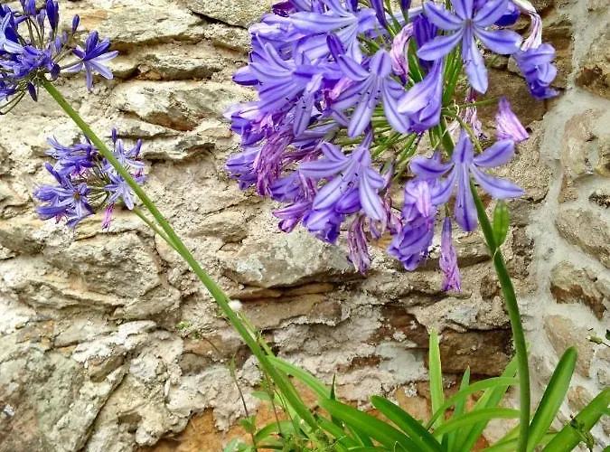 Semesterbostad L'etable *